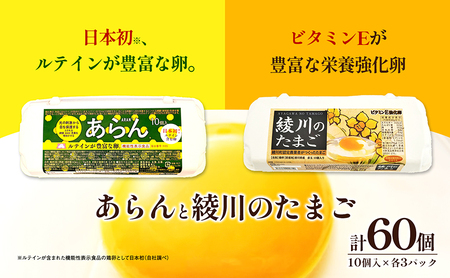たまご 鶏卵 あらんと綾川 たまご【10個入り×3パック】