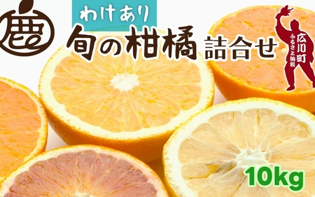柑橘 詰合せ 10kg+250g 訳あり 光センサー / みかん 不知火 清見 八朔 伊予間 セミノール レモン ３種類以上 詰め合わせ 晩柑 ※1月上旬〜6月上旬に順次発送 ※北海道・沖縄・離島への