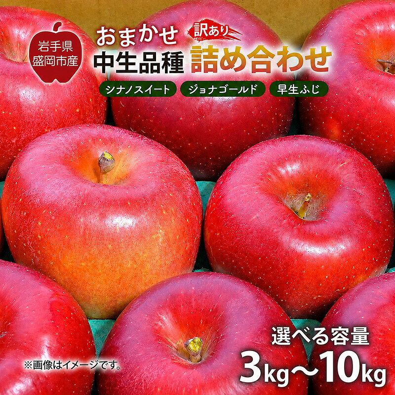 【ふるさと納税】【先行予約】9月中旬発送開始 訳あり りんご 品種お任せ 詰め合わせ 2種以上 3kg～10kg シナノスイート ジョナゴールド 早生ふじ ぐんま名月 もりのかがやき その他 中生品種 フルーツ 林檎 リンゴ 旬 岩手県 盛岡市 東北 岩手 盛岡 藤与果樹園 fujiyo013P