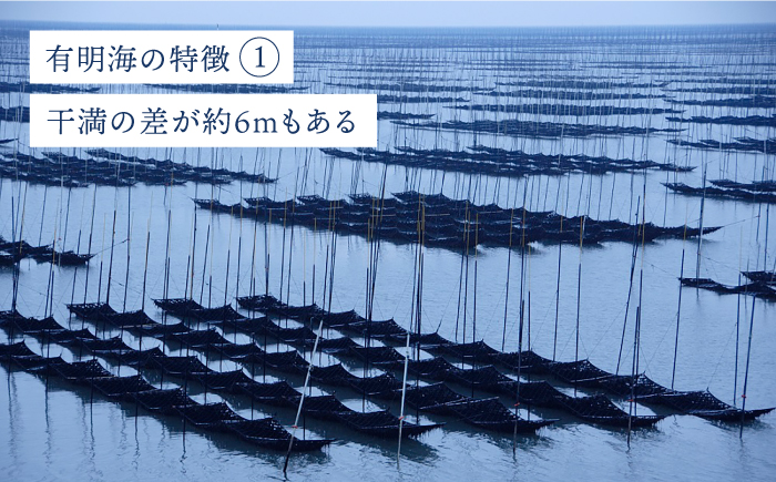 プレミアム佐賀海苔 味付け海苔 5袋詰（10切60枚×5） 株式会社サン海苔/吉野ヶ里町 [FBC021]