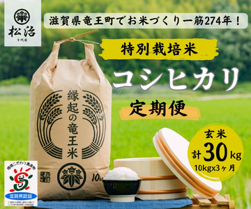 【 新米予約 】 定期便 3ヶ月 コシヒカリ 玄米 10kg 縁起の竜王米 ( 令和6年産 先行予約 新米 こしひかり ｺｼﾋｶﾘ こしひかり ｺｼﾋｶﾘ こしひかり ｺｼﾋｶﾘ こしひかり ｺｼﾋｶﾘ こしひかり ｺｼﾋｶﾘ こしひかり ｺｼﾋｶﾘ ) こしひかり ｺｼﾋｶﾘ こしひかり ｺｼﾋｶﾘ こしひかり ｺｼﾋｶﾘ こしひかり ｺｼﾋｶﾘ こしひかり ｺｼﾋｶﾘ こしひかり ｺｼﾋｶﾘ こしひかり ｺｼﾋｶﾘ こしひかり ｺｼﾋｶﾘ こしひかり ｺｼﾋｶﾘ こしひかり ｺｼﾋｶﾘ こしひかり ｺｼ