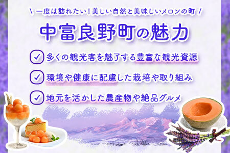 【2025年発送】　なかふらのメロン2玉　（計4kg）【CD-005】
