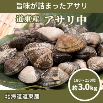 北海道道東産アサリ中(冷凍)　約3kg(180～250粒)【配送不可地域：離島】