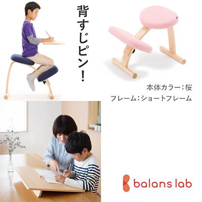 ふるさと納税 美濃市 バランスイージー ショート[桜]+イージーライティングボードM【複数個口で配送】
