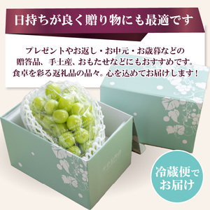 〈2025年度配送分〉シャインマスカット2房（約1.0kg） シャインマスカット 山梨 県産 先行予約 2025年 ぶどう フルーツ 2房 冷蔵 生産量 日本一 甲府 市産 1.0kg以上 フルーツ王