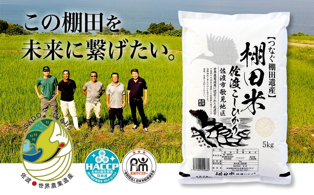 
            米 コシヒカリ 佐渡産 ( 5kg ) 棚田米 佐渡市歌見地区【令和7年米】
          