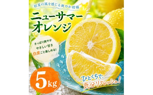 【選ぶならこれ】 初夏の爽快感 【ニューサマーオレンジ】 5kg 愛媛県産 【2027年4月中旬頃から順次発送】 | みかん ミカン mikan 蜜柑 訳ありフルーツ 柑橘 果物 おすすめ お勧め お取り寄せ ギフト 愛媛県 松山市