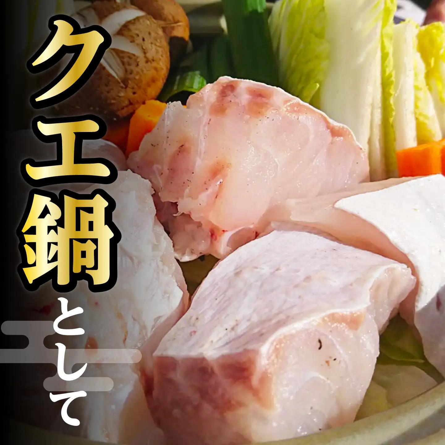 【2026年10月より順次発送】対馬産 幻の高級魚 クエ 1.2kg 海鮮 魚介 鍋 高級 [WAA014]