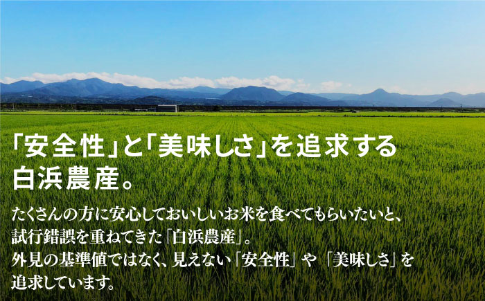 【令和7年度産】【九州米・食味コンクール3年連続入賞！】こだわりの さがびより 10kg（白米）【白浜農産】お米 [IBL001]