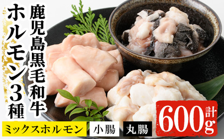 黒毛和牛ホルモン3種盛合わせ(小腸:200g 丸腸:200g ミックスホルモン:200g)【A-1460H】