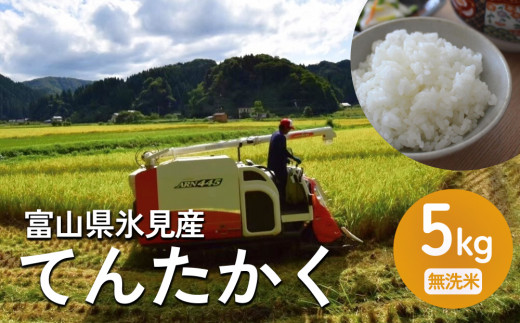 令和6年産 富山県氷見産 てんたかく 5kg 無洗米  | お米 選べる 精米 富山 氷見 米 さっぱり 数量限定 農家直送 節水 防災 新米