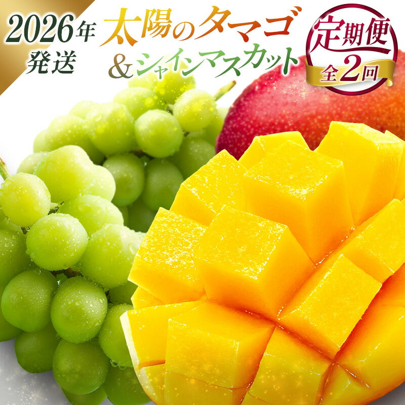 【ふるさと納税】＜2026年発送＞ フルーツ 定期便 太陽のタマゴ シャインマスカット 完熟 マンゴー ぶどう 先行予約 初夏 秋 旬 果物 全2回