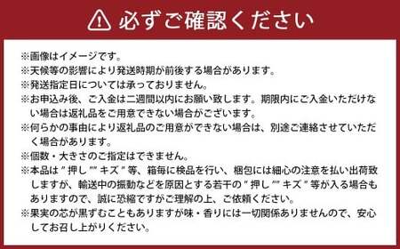 あたご梨 3～9玉 約4kg 家庭用 なし 梨 愛宕梨 ナシ 果物 フルーツ 果実 岡山県 倉敷市 【2025年11月下旬～12月下旬迄順次発送予定】