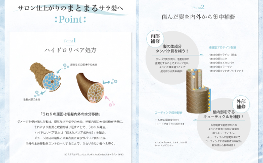 6回 定期便 サロン・ド・オーデ ハイドロリペア シャンプー & トリートメント 各 500ml 2本 セット 合計 12本 ダメージ補修 ボトル 液体 アロインス製薬 美容 美容品 化粧品 日用品