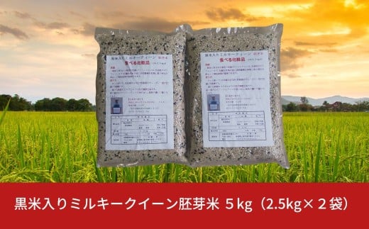 黒米入りミルキークイーン胚芽米 ５kg（2.5kg×２袋） 朝紫 令和７年産  [佐藤農産有機センター]【010S843】