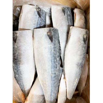 ふるさと納税 紀美野町 塩さばフィレ3.5kg |  | 03