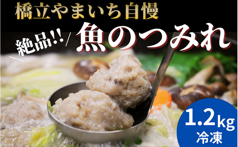 橋立やまいち自慢の魚のつみれ 4パックセット（冷凍）1200g つみれ 魚 鍋 京都府 宮津市