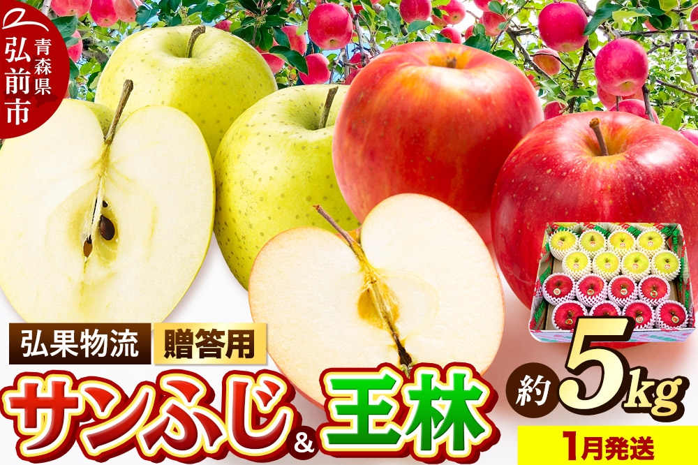 
            【26年1月発送】りんご 贈答用 サンふじ・王林 詰め合わせ 約5kg
          