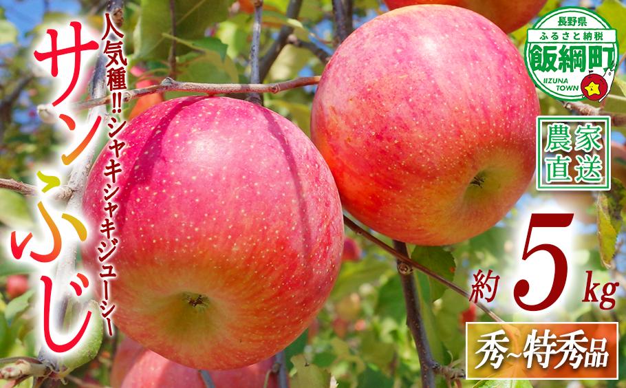 
                  りんご サンふじ 秀 ～ 特秀 5kg 関農園 沖縄県への配送不可 2026年12月上旬頃から2026年12月下旬頃まで順次発送予定 エコファーマー認定 令和8年度収穫分 信州 果物 フルーツ リンゴ 林檎 長野 予約 農家直送 長野県 飯綱町 [1092]
                