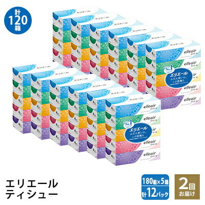 【ふるさと納税】2回お届け 計120箱 エリエール ティッシュ 180組5箱 12パック ティッシュペーパー 箱ティッシュ ボックスティッシュ 紙 まとめ買い 防災 常備品 備蓄品 消耗品 日用品 生活必需品 送料無料 赤平市 ストック