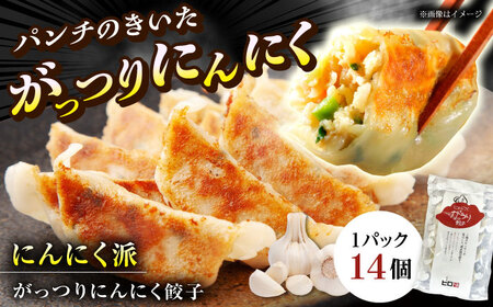【王道！にんにく派×2パック】選べる餃子2種セット！【餃子屋ヒロ】開成町 餃子&nbsp;点心 惣菜 冷凍[BDAS008-3]