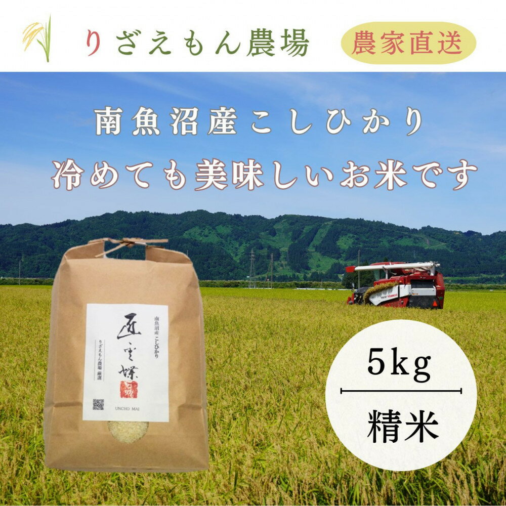 【ふるさと納税】白米5kg 令和7年産　南魚沼産こしひかり　魚野川流域　匠 雲蝶(たくみ　うんちょう） ＼生産農家直送／ | お米 こめ 白米 コシヒカリ 食品 人気 おすすめ 送料無料