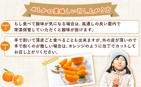 ＜せとか（家庭用）約1.2kg＋300g＞ 自宅用 訳あり ワケアリ 果物 くだもの フルーツ ミカン みかん セトカ 蜜柑 高級柑橘 柑橘の大トロ 柑橘 特産品 笑丸 愛媛県 西予市 常温『2027