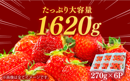 【2025年2月上旬より発送】あまおうG等級 3ケース（270g×6パック） 苺 いちご イチゴ 福岡 フルーツ 広川町 / JAふくおか八女農産物直売所どろや[AFAB071]