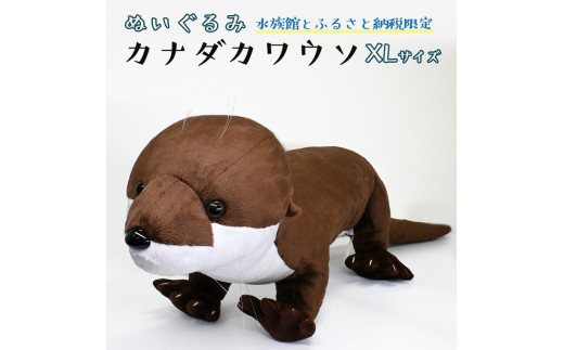 
ぬいぐるみ カワウソ XL アクアワールド 大洗 オリジナル グッズ 特大 120cm 茨城 水族館 カナダカワウソ かわうそ 限定
