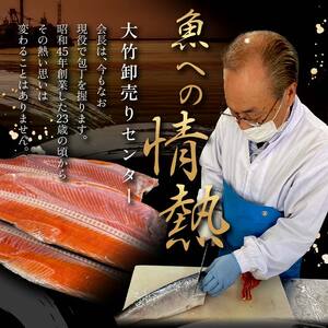 極上塩さんま30尾 3尾ごとの真空保存 さんま 焼き魚 魚 海鮮 鮮魚 北海道 ご当地グルメ 漬け魚 F4F-8107