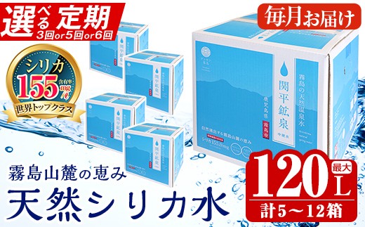 
                  《選べる定期》関平鉱泉水10L(2箱×3回・1箱×5回・2箱×6回)定期便♪【関平鉱泉所】 霧島市 シリカ シリカ水 水 シリカミネラルウォーター K-185 B-025 K-493
                