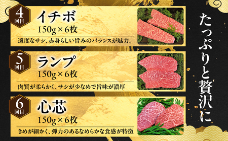 《厳選 希少部位》飛騨牛 食べ比べ 贅沢堪能 ステーキ定期便 厳選 飛騨牛 6回お届け 定期便 6回 半年 定期 牛肉 肉 和牛 国産 焼肉 ステーキ シャトーブリアン ヒレ サイコロステーキ 贅沢 