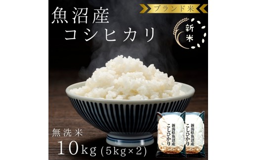 
                  【令和8年産 先行予約】 ブランド米 魚沼産コシヒカリ 無洗米 10kg（5kg×2袋） お米 
                