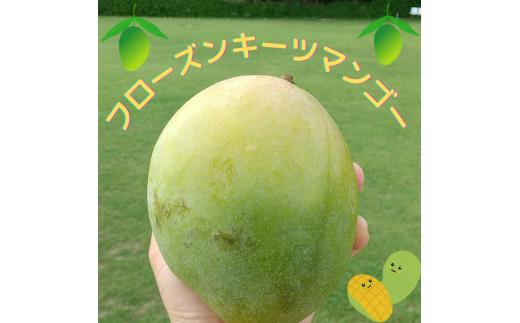 
            FU010　フローズンキーツマンゴー 《急速冷凍》2ｋｇ
          