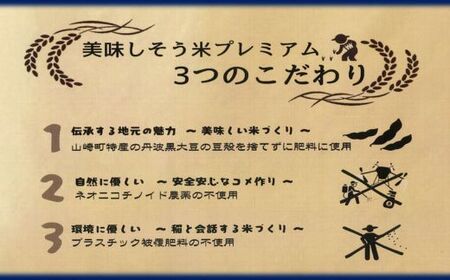 I11　キヌヒカリ 玄米　20Kg   数量限定 令和7年産 新米　美味しそう米　プレミアム【 お米 コメ きぬひかり 兵庫県 宍粟市 】