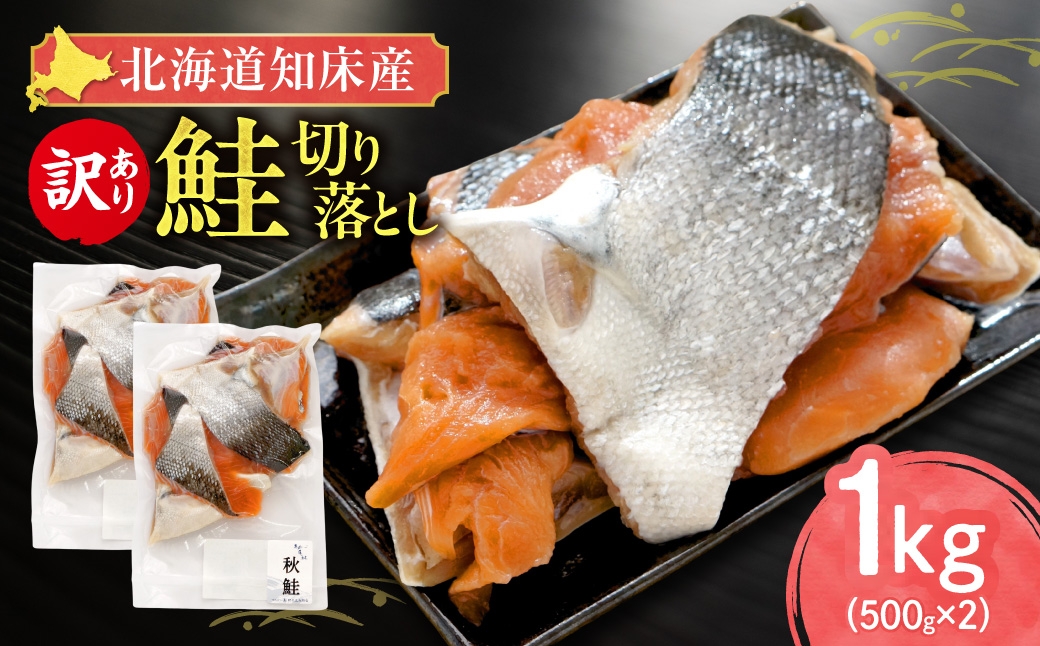 
                  ＜訳あり＞北海道知床産 鮭切り落とし 500g入×2個
                
