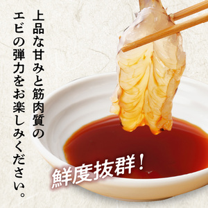 S005-008_【鮮度抜群】《美味しさの極み》天草産・幸福堂の活き車えび『海老王』（930g）〈先行予約〉 / 車エビ 車海老 エビ えび