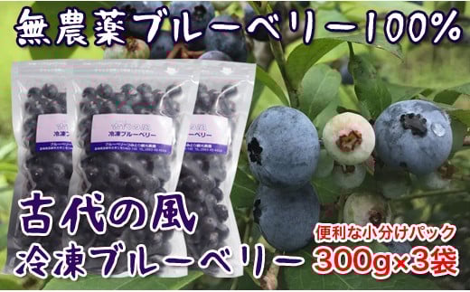 『古代の風』無農薬ブルーベリー900ｇ 小分け300g×3＜1-57＞