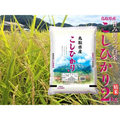 ふるさと納税 湯梨浜町 鳥取県産こしひかり◇精米2kg◇令和7年産(42M.)