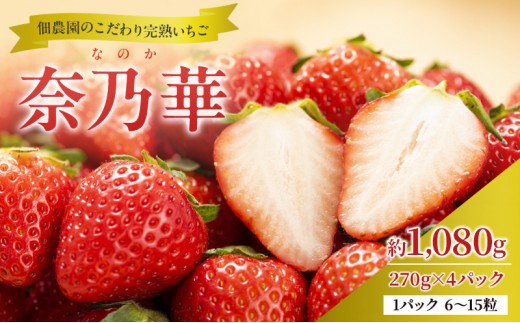 
                  先行予約 【いちご 完熟 奈乃華 約1080g(270g× 4パック ) 佃農園のこだわり フルーツ 果物 旬 産地直送 旬のフルーツ 旬の果物 お取り寄せ デザート イチゴ 苺 なのか 冷蔵 奈良 奈良県 大和郡山市 BN001 [№5990-0727]
                