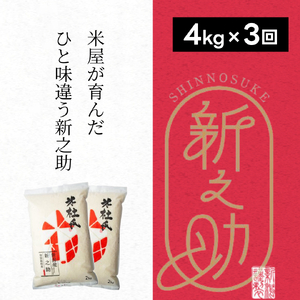 【令和7年産】3ヶ月定期便 特別栽培米 新之助 4kg (2kg×2袋)×3回 米杜氏 壱成  白米 精米 大粒 つや 光沢 弾力 芳醇 1H42046