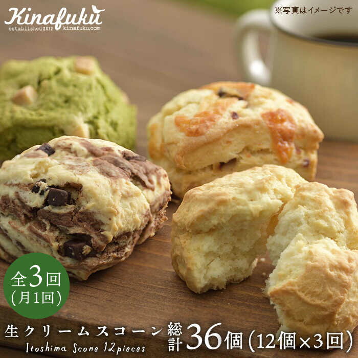 【ふるさと納税】【全3回定期便】スコーンのイメージ変えてみませんか？定番スコーン12個セット 《糸島》【キナフク】 [AFA013] 47000円 4万7千円