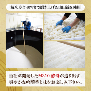 『副将軍』大吟醸 720ml×６本セット（DW-31）