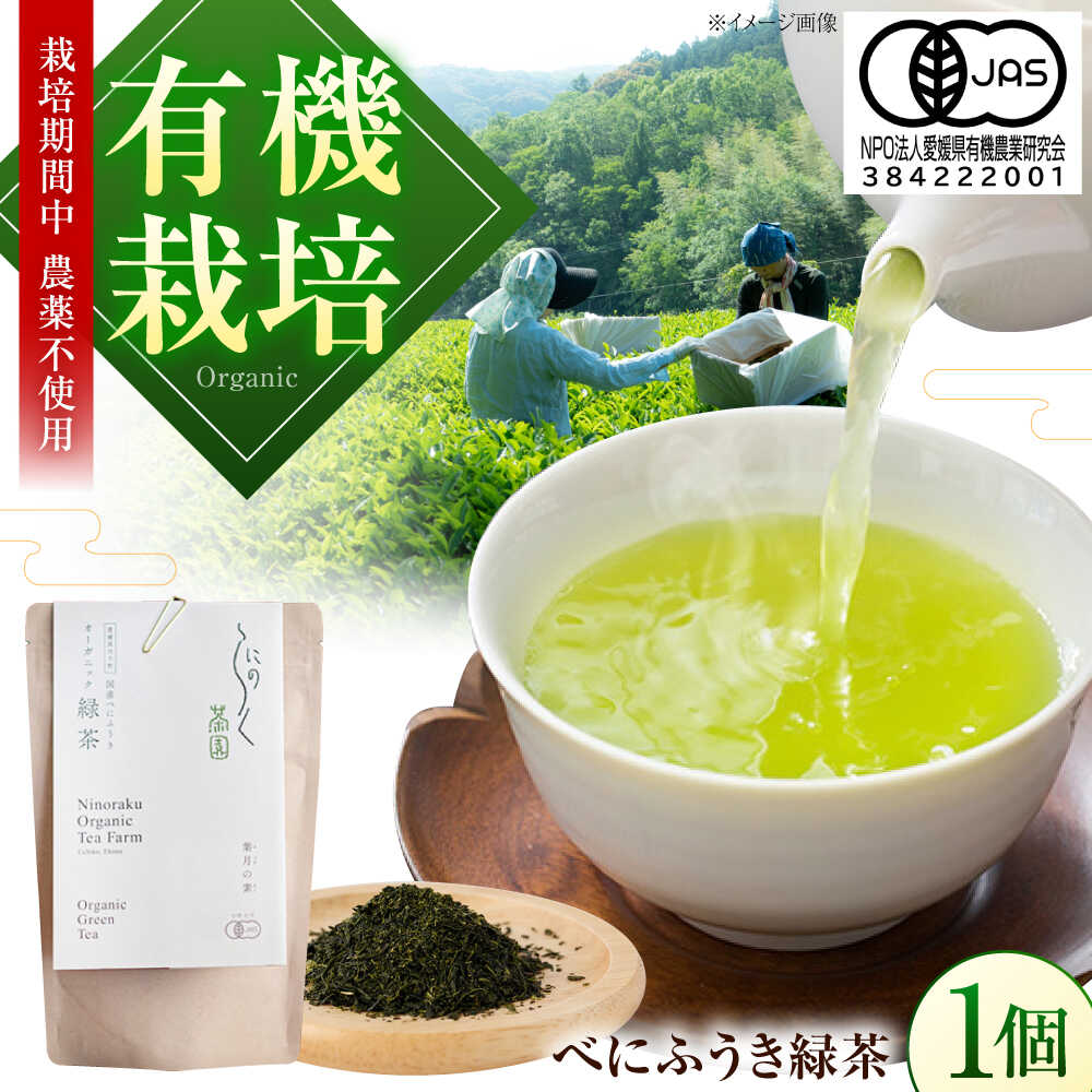 【ふるさと納税】メチル化カテキンで話題 オーガニックのべにふうき緑茶 (85g×1個) ／ べにふうき 緑茶 花粉症 内子町 国産 【にのらく茶園】[BKBR001]