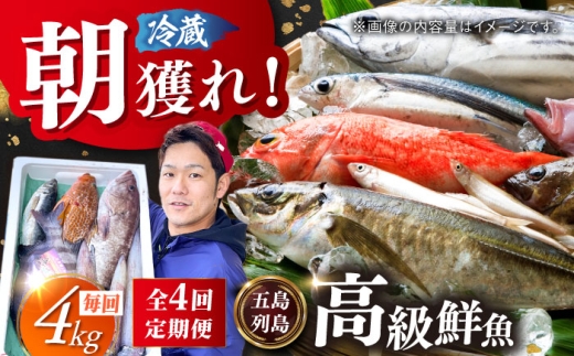 【4回定期便】朝獲れ高級鮮魚セット4kg【五島列島直送】五島市/鯛福丸水産[PDP006]鮮魚BOX 詰め合わせ 詰合せ せんぎょ 冷蔵 刺身 魚 海鮮 直送 さかな 新鮮人気 おすすめ