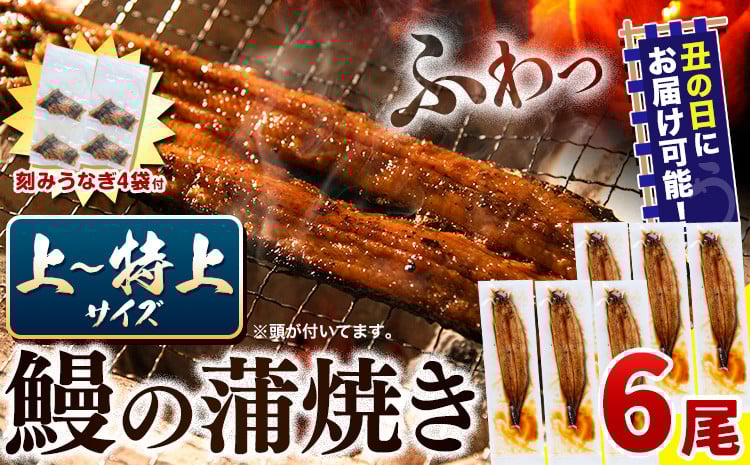 
            うなぎ 国産 鰻の蒲焼 6尾 ＋ きざみうなぎ 30g×4袋 上～特上サイズ《選べる出荷時期)》| うなぎ 蒲焼 国産 うなぎ 小分け うなぎ 国産 うなぎ 父の日 うなぎ 母の日ギフト うなぎ 簡易包装 送料無料 徳島県 上板町
          