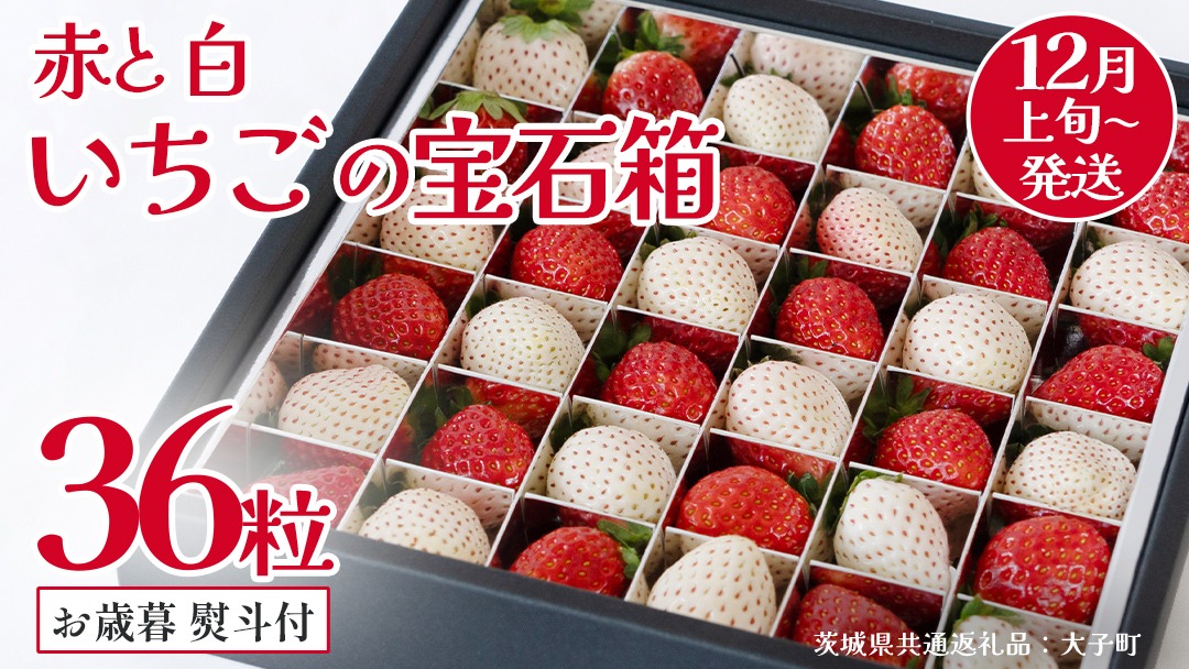【 お歳暮 熨斗付き 】 赤いちご と 白いちご の宝石箱36粒【2025年12月上旬発送開始】(茨城県共通返礼品：大子町) いちご 苺 果物 フルーツ 果実 贈答用 ギフト 贈り物