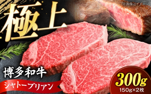 博多和牛 シャトーブリアン 150g×2枚 （計300g）《豊前市》【肉のくまもと屋】 [VFD035] ステーキ シャトーブリアン ヒレ ひれ 希少部位 しゃとーぶりあん 肉 和牛 シャトーブリアン 牛肉 赤身 ブランド牛 ステーキ ヒレ 福岡県産 和牛 国産 ヒレ ひれ 焼肉 ステーキ 和牛 国産