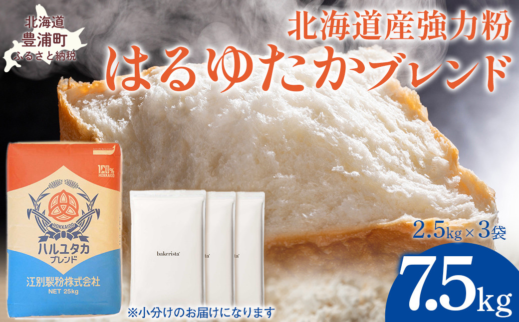 
            はるゆたかブレンド 7.5kg 【 ふるさと納税 人気 おすすめ ランキング 小麦粉 パン 国産 北海道 江別製粉 はるゆたか ブレンド 自宅用  北海道 豊浦町 送料無料  】 TYUAI004
          