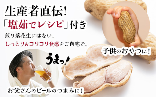 食べ応え抜群の大粒落花生「おおまさり」５００g袋×８袋≪数量限定≫鹿児島県産